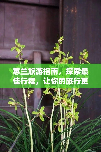 蕙兰旅游指南,探索最佳行程,让你的旅行更精彩!