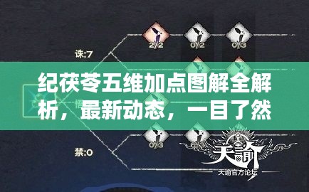 纪茯苓五维加点图解全解析,最新动态,一目了然!