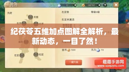 纪茯苓五维加点图解全解析,最新动态,一目了然!