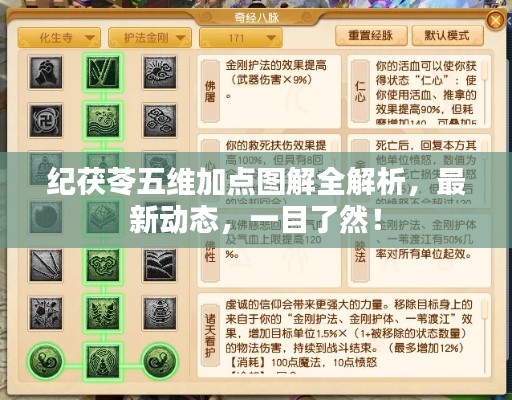 纪茯苓五维加点图解全解析,最新动态,一目了然!