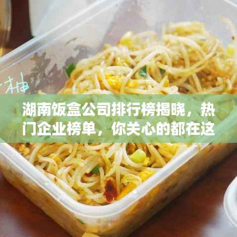 湖南饭盒公司排行榜揭晓，热门企业榜单，你关心的都在这里！