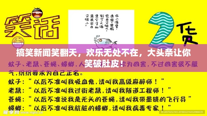 搞笑新闻笑翻天，欢乐无处不在，大头条让你笑破肚皮！