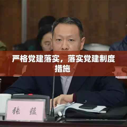 严格党建落实,落实党建制度措施