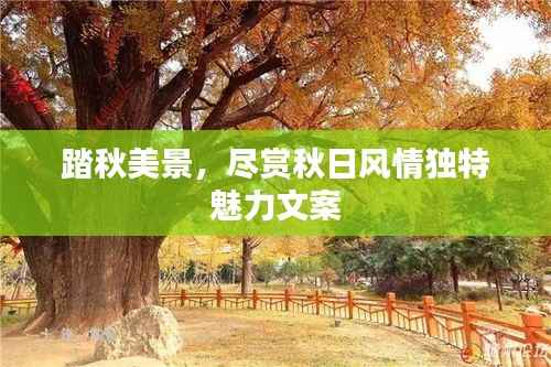 踏秋美景,尽赏秋日风情独特魅力文案