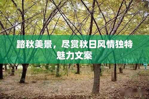 踏秋美景,尽赏秋日风情独特魅力文案