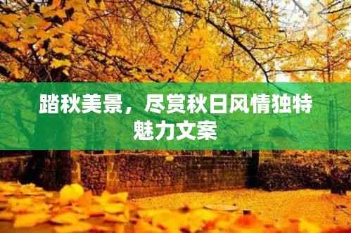 踏秋美景,尽赏秋日风情独特魅力文案