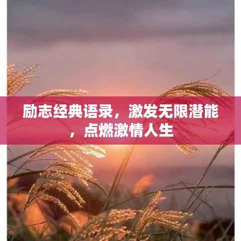 励志经典语录,激发无限潜能,点燃激情人生