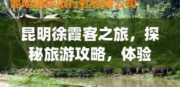 昆明徐霞客之旅，探秘旅游攻略，体验别样风情之旅