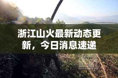 张张屈屈 第5页