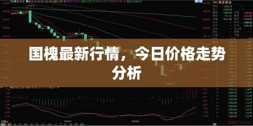 国槐最新行情,今日价格走势分析
