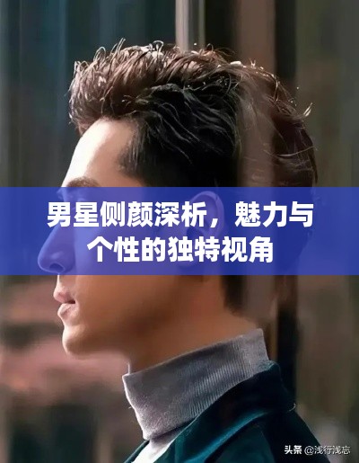 男星侧颜深析,魅力与个性的独特视角