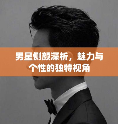 男星侧颜深析,魅力与个性的独特视角