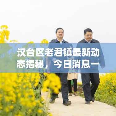 汉台区老君镇最新动态揭秘，今日消息一网打尽！