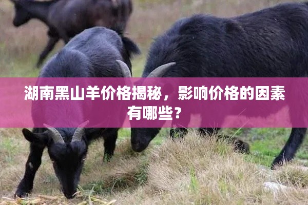 湖南黑山羊价格揭秘,影响价格的因素有哪些?