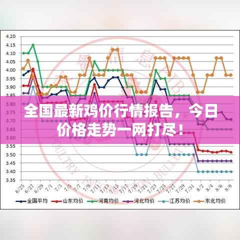全国最新鸡价行情报告,今日价格走势一网打尽!