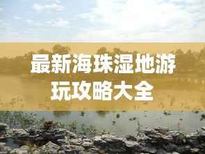 最新海珠湿地游玩攻略大全