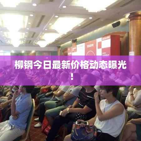 柳钢今日最新价格动态曝光！