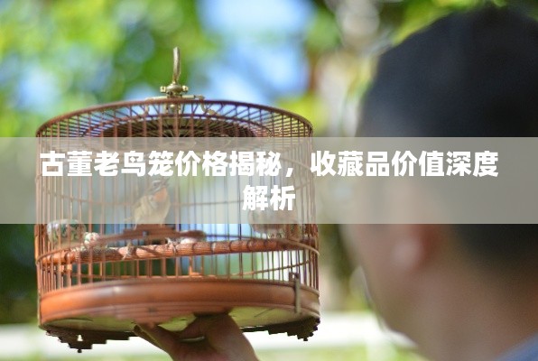 古董老鸟笼价格揭秘,收藏品价值深度解析