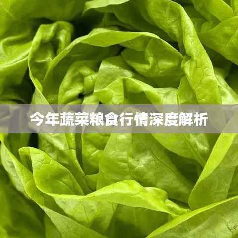 今年蔬菜粮食行情深度解析
