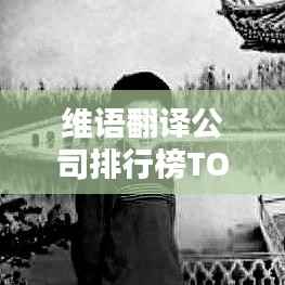 维语翻译公司排行榜TOP及行业影响力解析