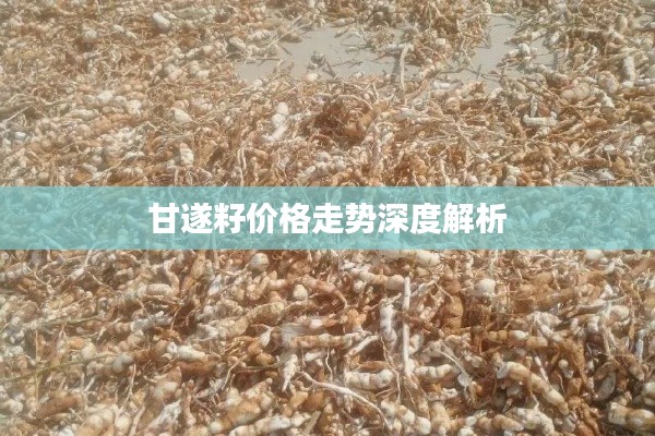 甘遂籽价格走势深度解析