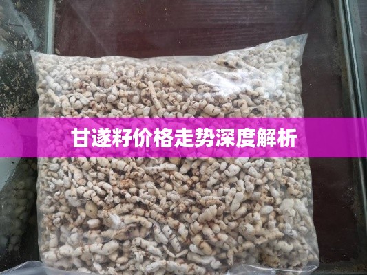 甘遂籽价格走势深度解析