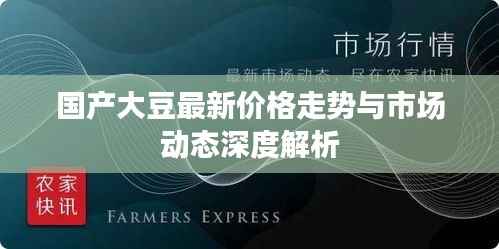 国产大豆最新价格走势与市场动态深度解析