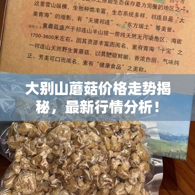 大别山蘑菇价格走势揭秘,最新行情分析!