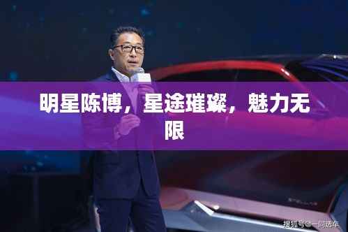明星陈博,星途璀璨,魅力无限