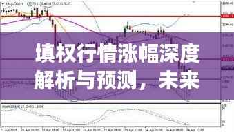 填权行情涨幅深度解析与预测,未来走势展望