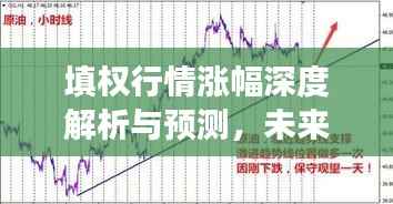 填权行情涨幅深度解析与预测,未来走势展望