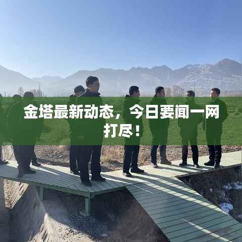 金塔最新动态,今日要闻一网打尽!