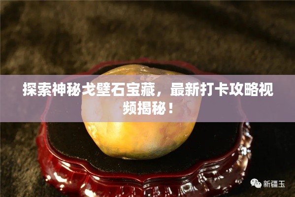 探索神秘戈壁石宝藏,最新打卡攻略视频揭秘!