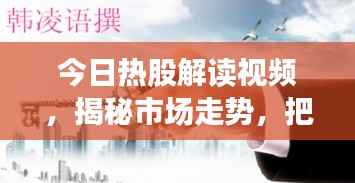 今日热股解读视频,揭秘市场走势,把握投资先机