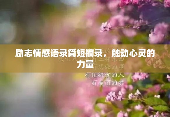 励志情感语录简短摘录,触动心灵的力量
