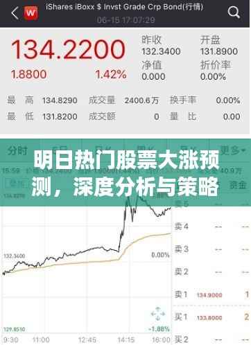 明日热门股票大涨预测，深度分析与策略布局指南