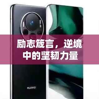 励志箴言，逆境中的坚韧力量