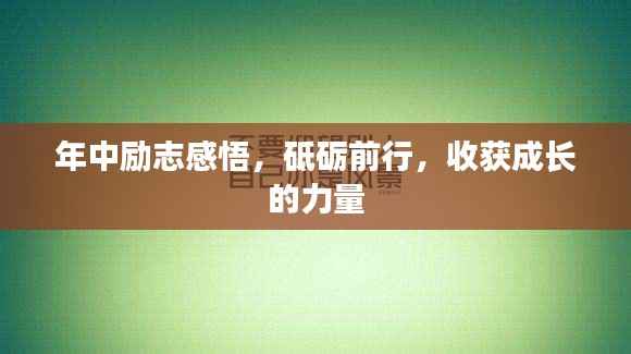 年中励志感悟,砥砺前行,收获成长的力量