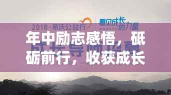 年中励志感悟,砥砺前行,收获成长的力量
