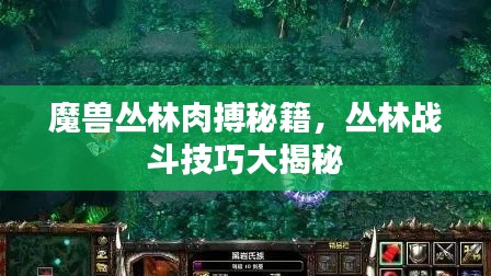 魔兽丛林肉搏秘籍，丛林战斗技巧大揭秘