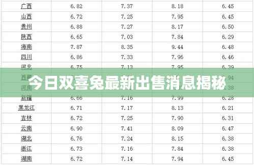 今日双喜兔最新出售消息揭秘