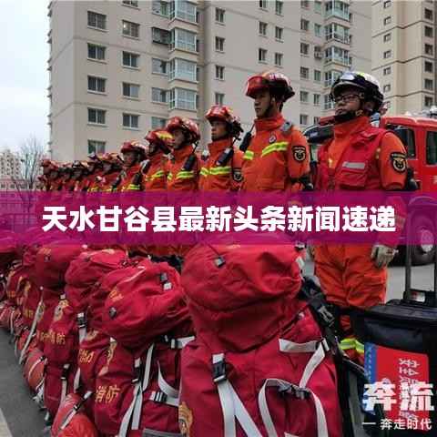 天水甘谷县最新头条新闻速递