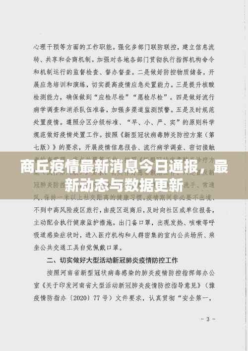 商丘疫情最新消息今日通报，最新动态与数据更新