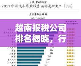 越南报税公司排名揭晓,行业影响力与服务质量一览