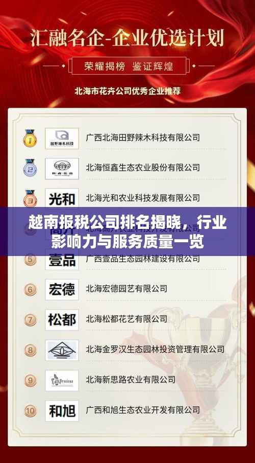 越南报税公司排名揭晓,行业影响力与服务质量一览