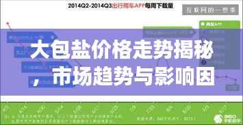 大包盐价格走势揭秘,市场趋势与影响因素深度解析