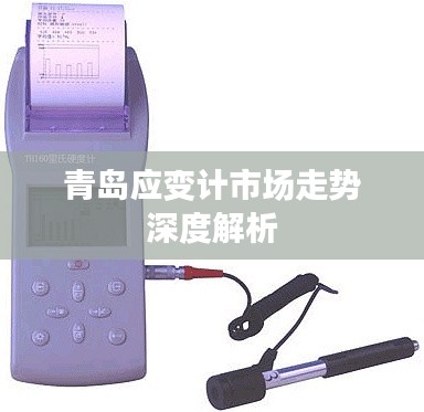 青岛应变计市场走势深度解析