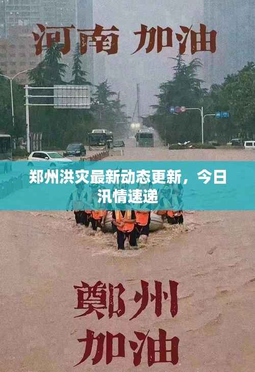 郑州洪灾最新动态更新，今日汛情速递
