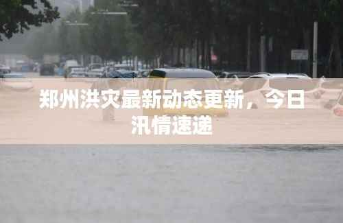 郑州洪灾最新动态更新,今日汛情速递