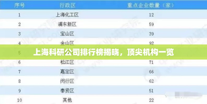 漫天飞舞 第4页